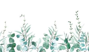 watercolor drawing.seamless border, frame of eucalyptus leaves. delicate illustration, green eucalyptus leaves print