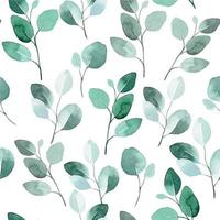 watercolor seamless pattern with eucalyptus leaves. green tropical eucalyptus leaves on white background vector