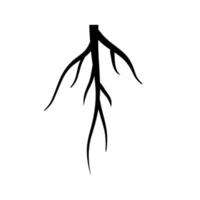 Root. Underground part of plant. Black icon. vector