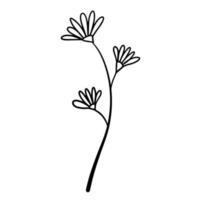 Natural plant. Abstract doodle flower. Sketch black and white Stem with leaves vector