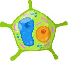 Green cell of the plant. Element of biology. vector