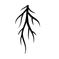 Root. Underground part of plant. Black icon. vector