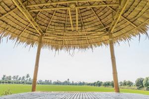 The wooden huts in a rice green in the field a vast area photo