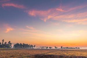 Rural landscape the fields at sunrise morning fog and beautiful sky photo