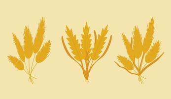 Vector set bouquets of wheat, dried flowers, rye, barley ears, wheat germ grains. Cute and flat style. Beautiful illustration for creating design, stickers, wrappers, postcards, banners, websites.