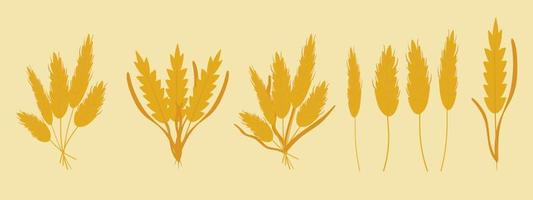 Vector set bouquets of wheat, dried flowers, rye, barley ears, wheat germ grains. Cute and flat style. Beautiful illustration for creating design, stickers, wrappers, postcards, banners, websites.