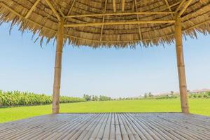 The wooden huts in a rice green in the field a vast area photo