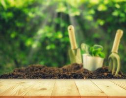 madera vieja o suelo y planta en jardín. plantar una planta pequeña en un montón de tierra con herramientas de jardinería sobre fondo verde bokeh. foto