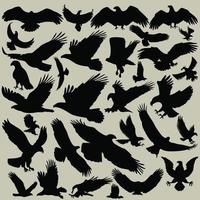 Set Of Black Silhouettes Of Eagle vector