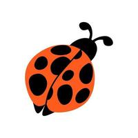 Cute cartoon insect ladybug isolated on white background vector