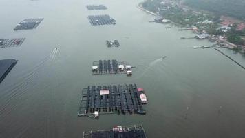 dos barcos navegan en la piscifactoría de kuala kurau. video