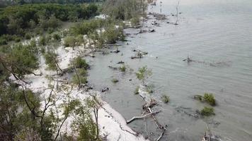 survolez la mangrove, le sable blanc et la mer à tanjung piandang, perak. video