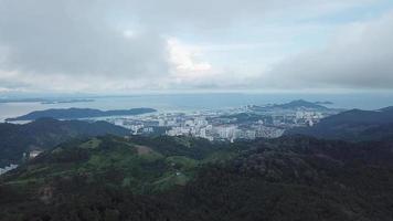 vista aerea piantagione verde intorno alla foresta e sungai ara, pulau pinang. video