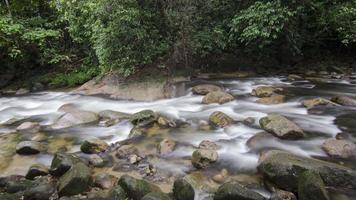 vattenfall, stensten och djungeln vid Sungai Sedim, Kedah, Malaysia. video