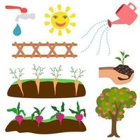 Underground carrots  growing and watering set. vector