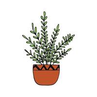 planta de interior en un icono de olla dibujado a mano. , minimalismo, escandinavo, garabato, pegatina de dibujos animados planta flor vector
