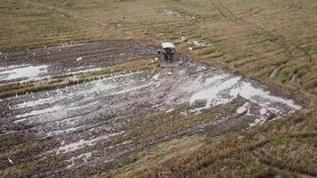 Aerial drone shot tractor plow in paddy. video