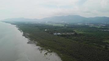 la foresta di mangrovie aeree vicino a kampung rurale si trova a balik pulau, penang. video