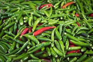 Red and green Bird's Eye Chilli stack together for several seeds photo