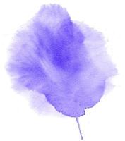 Watercolor paint brush strokes from a hand drawn isolated on white background photo