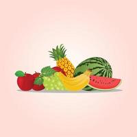 Fruit collection, set of fruits vector