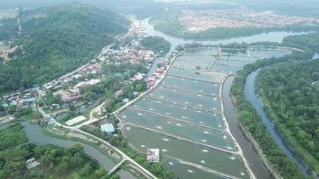 granja de peces de vista aérea y pueblo en penang, malasia. video