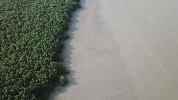 Luftaufnahme Mangrovenwald an der Küste von Penang, Malaysia.