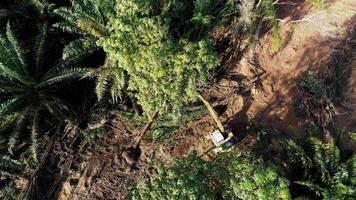 Aerial view excavator clear the land video