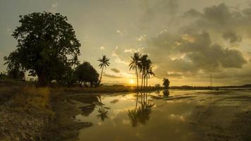 Timelapse reflection sunset with golden cloud fly over coconut trees.. video