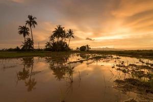 timelapse della formazione della nuvola d'oro dal giorno alla transizione notturna video