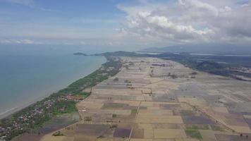 luftbild überflutetes reisfeld in der nähe von kuala muda, kedah an einem hellen sonnigen tag. video