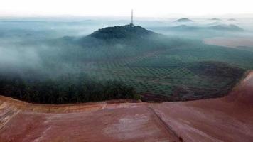 vista aérea vuela hacia la torre de telecomunicaciones rodeada de plantaciones de petróleo. video