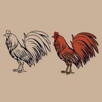 ilustraciones de vectores de pollo especialmente diseñadas para necesidades de marca y mucho más