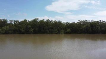 mover sobre o rio em direção à floresta de mangue video