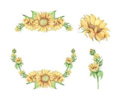 conjunto de girasol. ilustración floral acuarela. vector