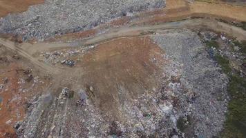 Aerial white egrets bird fly over the landfill site . video