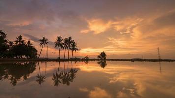 timelapse pôr do sol de coqueiros tropicais e uma torre elétrica video