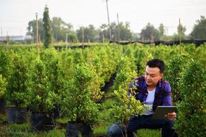 asian farmer using tablet computer in wheat crop field, concept of modern smart farming by using electronics, technology and mobile apps in agricultural production photo