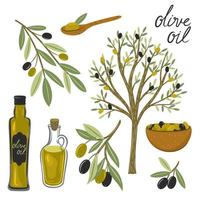 Set of black and green olives and bottles of olive oil, olive tree isolated on white background. Vector graphics.