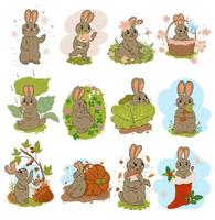 Set of cute rabbits isolated on white background. Vector graphics.