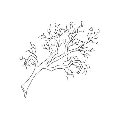 dry old tree