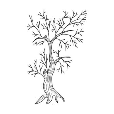 dry old tree