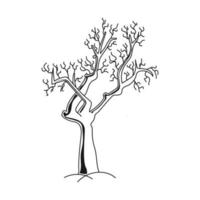 dry old tree vector
