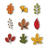 Autumn Fallen Leaves Collection vector