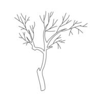 dry old tree vector