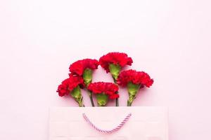 Red carnations on pink background with copy space. Mother's Day card, Valentine's day.