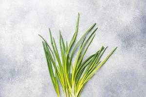 Green onions or shallots on a grey concrete background with a copy of the space. photo