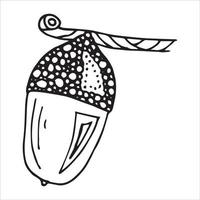 Vector hand drawn acorn illustration. Autumn botany sketch