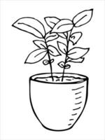 Cute hand drawn houseplant in a pot clipart. Plant illustration. Cozy home doodle vector