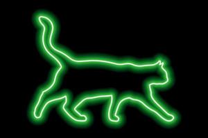 Neon green cat on a black background. The cat walks with its tail raised high vector